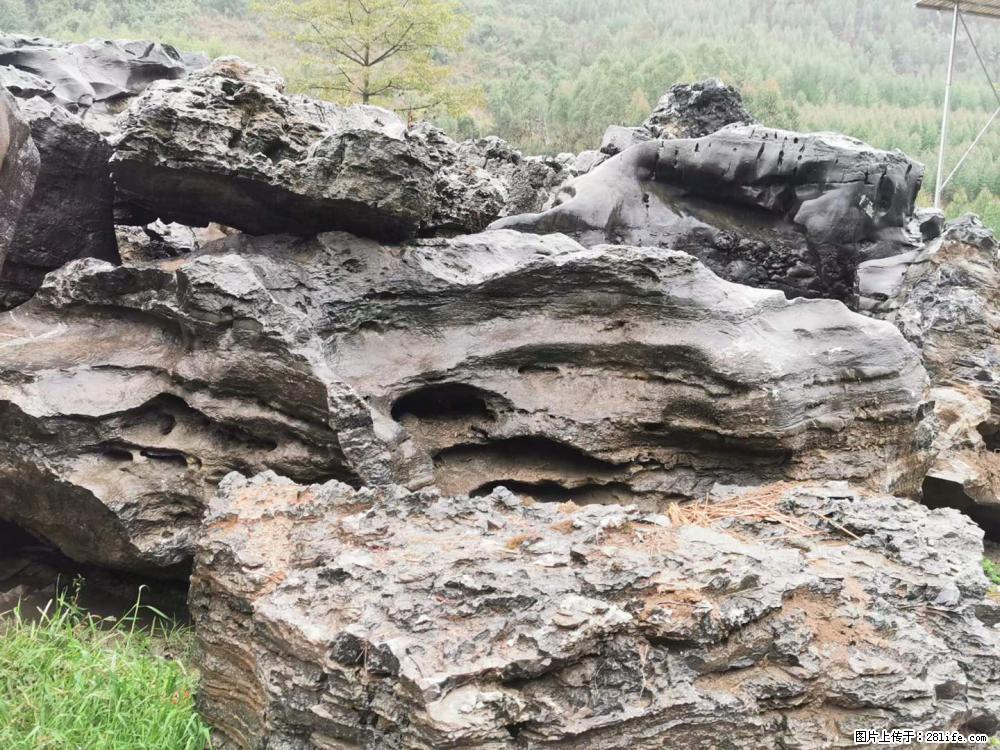 风景石、假山石大量有货，有需要的欢迎联系 - 新手上路 - 阳泉生活社区 - 阳泉28生活网 yq.28life.net