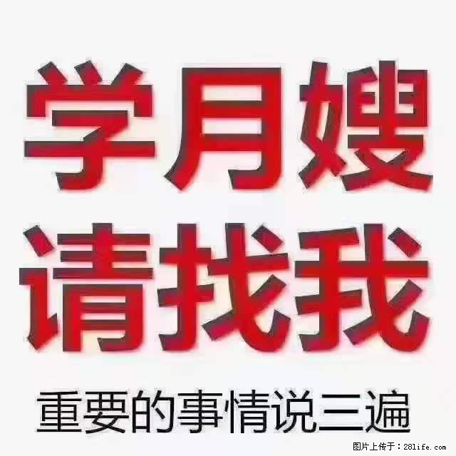为什么要学习月嫂，育婴师？ - 其他广告 - 广告专区 - 阳泉分类信息 - 阳泉28生活网 yq.28life.net