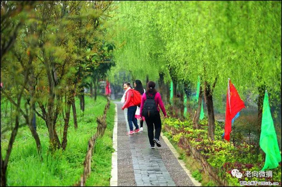 【春天，广西桂林灌阳县向您发出邀请！】江口老街又逢春 - 游山玩水 - 阳泉生活社区 - 阳泉28生活网 yq.28life.net