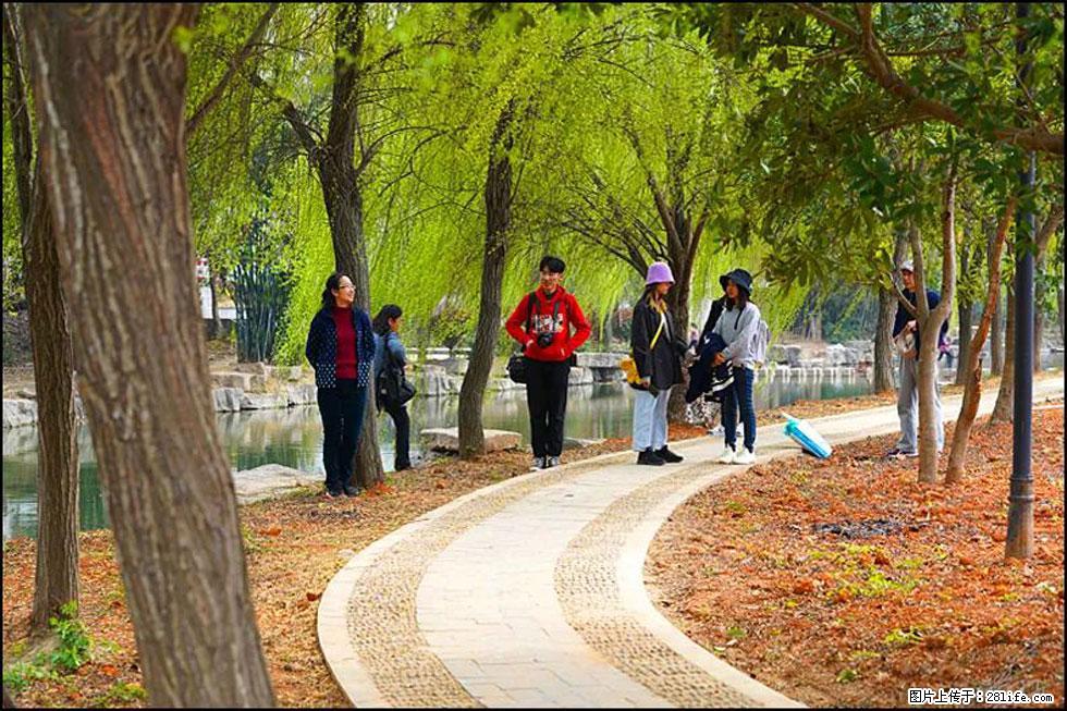 【春天，广西桂林灌阳县向您发出邀请！】江口老街又逢春 - 游山玩水 - 阳泉生活社区 - 阳泉28生活网 yq.28life.net
