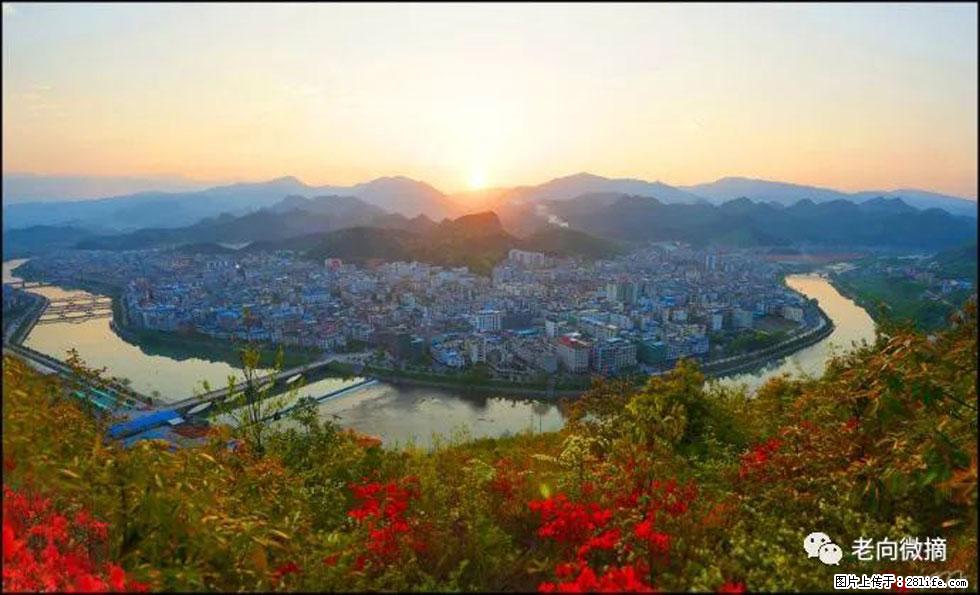 【春天，广西桂林灌阳县向您发出邀请！】登麒麟山，相约映山红 - 游山玩水 - 阳泉生活社区 - 阳泉28生活网 yq.28life.net