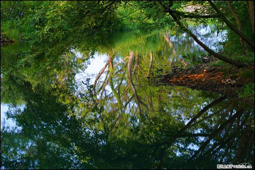 【春天，广西桂林灌阳县向您发出邀请！】熊家寨湿地公园 - 游山玩水 - 阳泉生活社区 - 阳泉28生活网 yq.28life.net