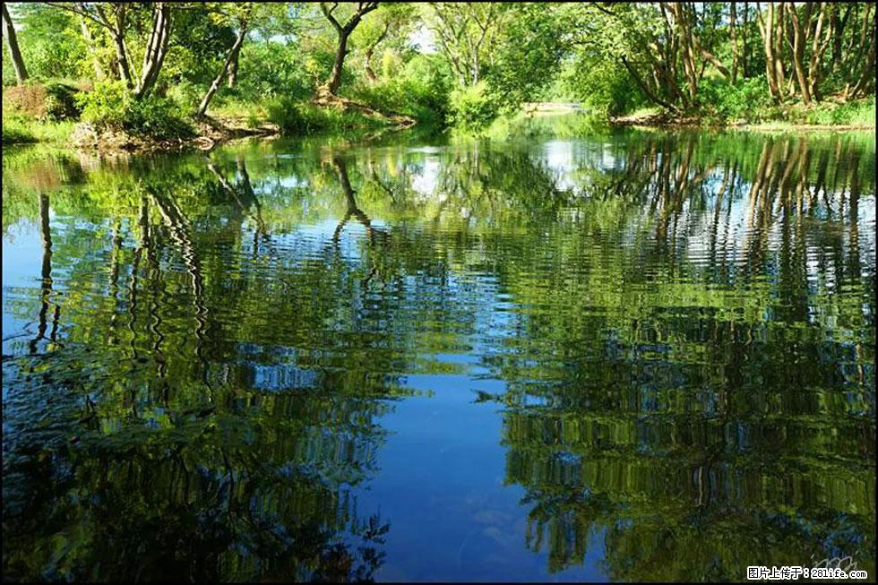 【春天，广西桂林灌阳县向您发出邀请！】熊家寨湿地公园 - 游山玩水 - 阳泉生活社区 - 阳泉28生活网 yq.28life.net
