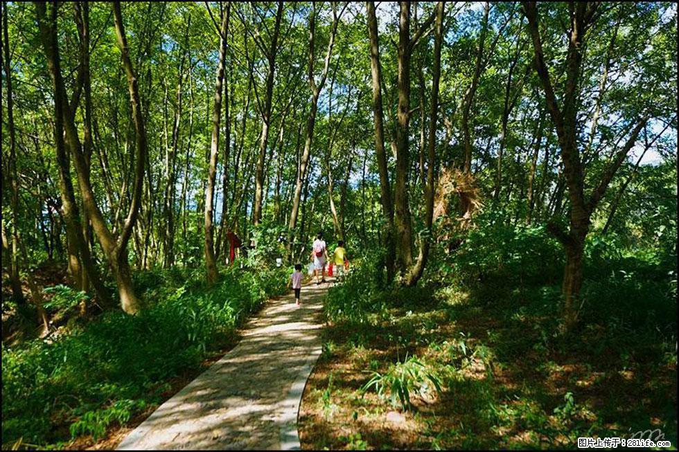 【春天，广西桂林灌阳县向您发出邀请！】熊家寨湿地公园 - 游山玩水 - 阳泉生活社区 - 阳泉28生活网 yq.28life.net
