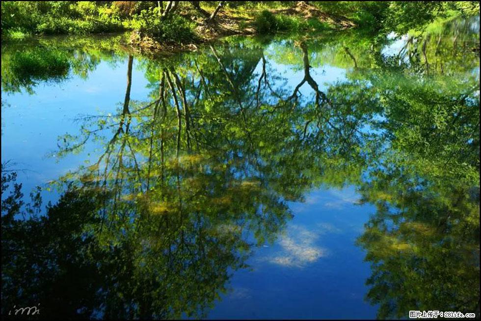 【春天，广西桂林灌阳县向您发出邀请！】熊家寨湿地公园 - 游山玩水 - 阳泉生活社区 - 阳泉28生活网 yq.28life.net