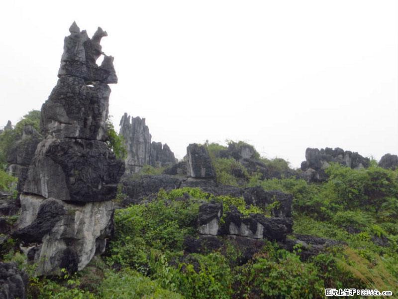 桂林旅游名城景点：灌阳文市石林 - 游山玩水 - 阳泉生活社区 - 阳泉28生活网 yq.28life.net
