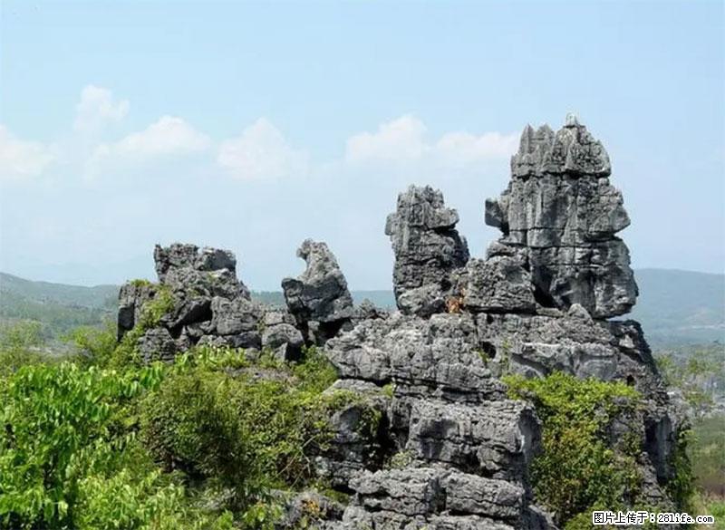 桂林旅游名城景点：灌阳文市石林 - 游山玩水 - 阳泉生活社区 - 阳泉28生活网 yq.28life.net