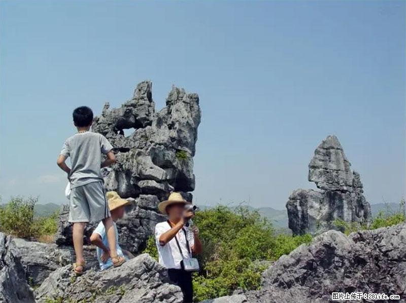 桂林旅游名城景点：灌阳文市石林 - 游山玩水 - 阳泉生活社区 - 阳泉28生活网 yq.28life.net