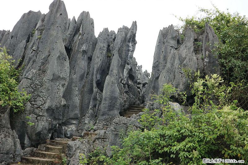 桂林旅游名城景点：灌阳文市石林 - 游山玩水 - 阳泉生活社区 - 阳泉28生活网 yq.28life.net