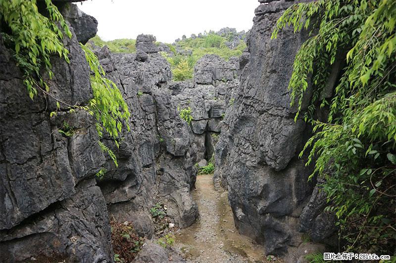 桂林旅游名城景点：灌阳文市石林 - 游山玩水 - 阳泉生活社区 - 阳泉28生活网 yq.28life.net