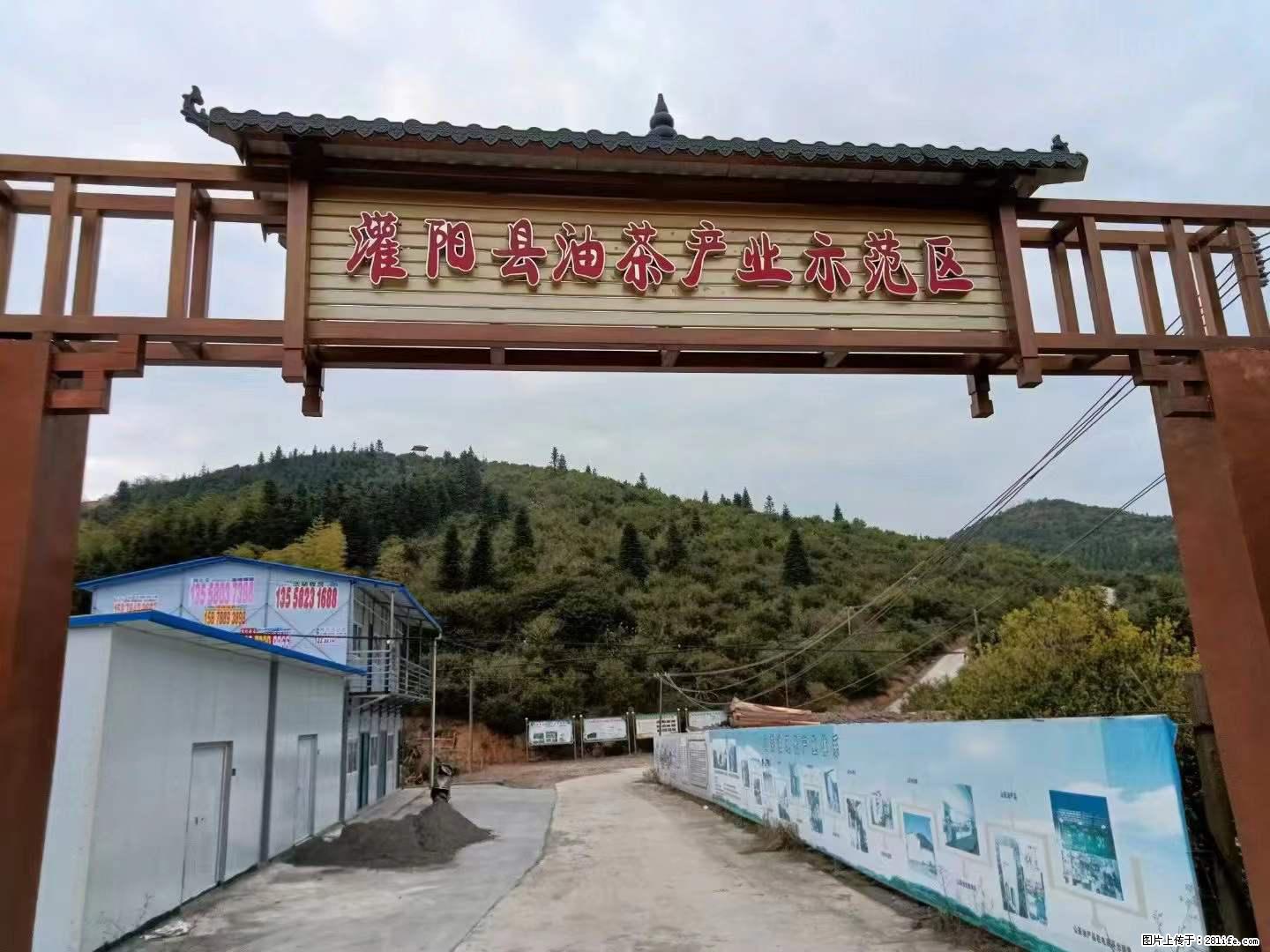 【灌阳县油茶产业示范区】一个有着充实的精神生活的人，对待身外之物自会有一种淡泊的态度 - 土特产 - 饮食特产 - 阳泉分类信息 - 阳泉28生活网 yq.28life.net