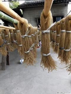 【灌阳正宗红薯粉】美女家里自己做的，干净卫生，假一赔十，价格合理，抢购电话：13737312895 - 阳泉28生活网 yq.28life.net