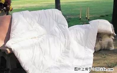 被子有异味？只要这样做，比晒太阳还强100倍！ - 家居生活 - 阳泉生活社区 - 阳泉28生活网 yq.28life.net