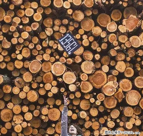 辞掉工作周游世界？现在他们在洗厕所…… - 游山玩水 - 阳泉生活社区 - 阳泉28生活网 yq.28life.net