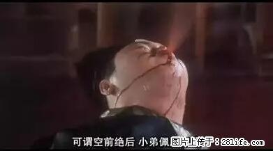 笑癫了！一女的怀孕三年未生，他终于忍不住了... - 娱乐八卦 - 阳泉生活社区 - 阳泉28生活网 yq.28life.net