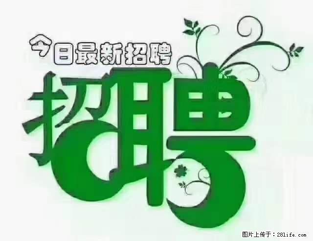 【招聘摄像师】待遇：试用期6000元/月，转正7000元/月+五险一金+餐补+节日福利+奖金 - 其他招聘信息 - 招聘求职 - 阳泉分类信息 - 阳泉28生活网 yq.28life.net