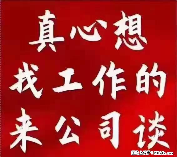 【上海】国企，医院招两名男保安，55岁以下，身高1.7米以上，无犯罪记录不良嗜好 - 职场交流 - 阳泉生活社区 - 阳泉28生活网 yq.28life.net
