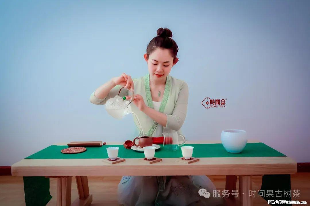 时间果百年古树龙珠普洱生茶 - 购物交流 - 阳泉生活社区 - 阳泉28生活网 yq.28life.net