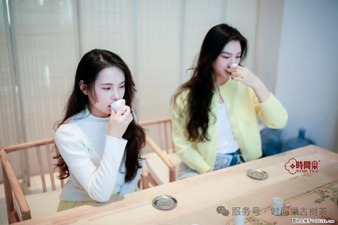 时间果百年古树龙珠普洱生茶 - 购物交流 - 阳泉生活社区 - 阳泉28生活网 yq.28life.net