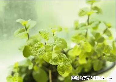晕车、脚气、牙齿变黄、皮肤粗糙？学会这些三分钟搞定！ - 阳泉生活资讯 - 阳泉28生活网 yq.28life.net