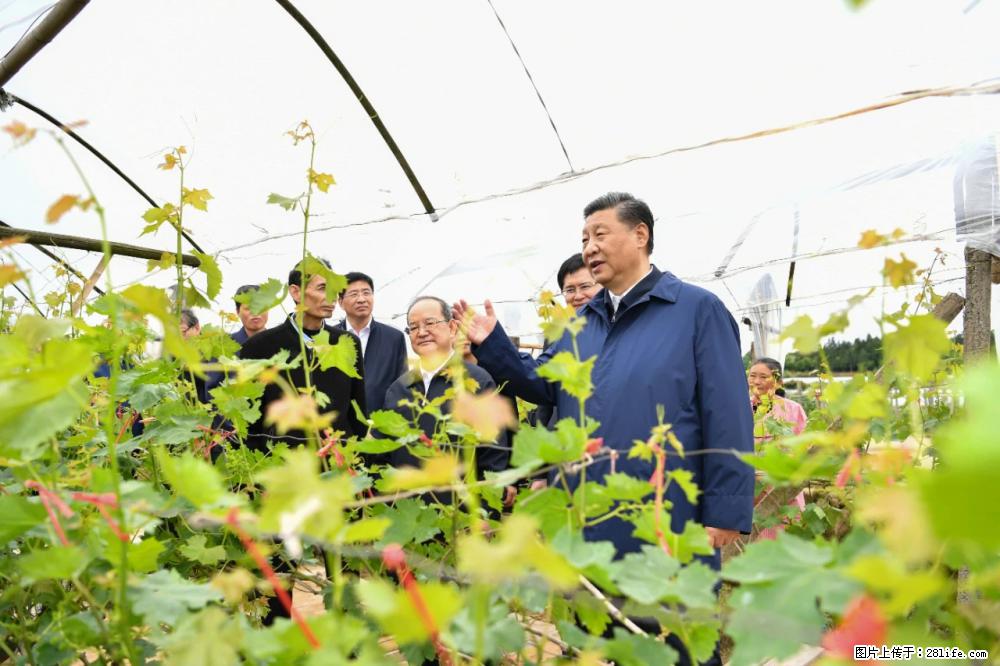 习近平赴广西考察调研 - 阳泉生活资讯 - 阳泉28生活网 yq.28life.net