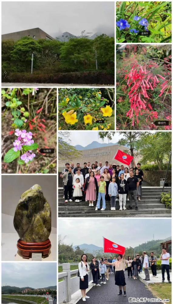 “粤灌文化 美好生活”油茶文化主题活动在广东深圳成功举办 - 阳泉生活资讯 - 阳泉28生活网 yq.28life.net