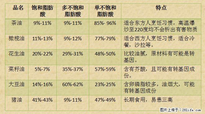 揭秘茶油的5大核心营养成分！被称为人体健康的“守护盾”！ - 阳泉生活资讯 - 阳泉28生活网 yq.28life.net