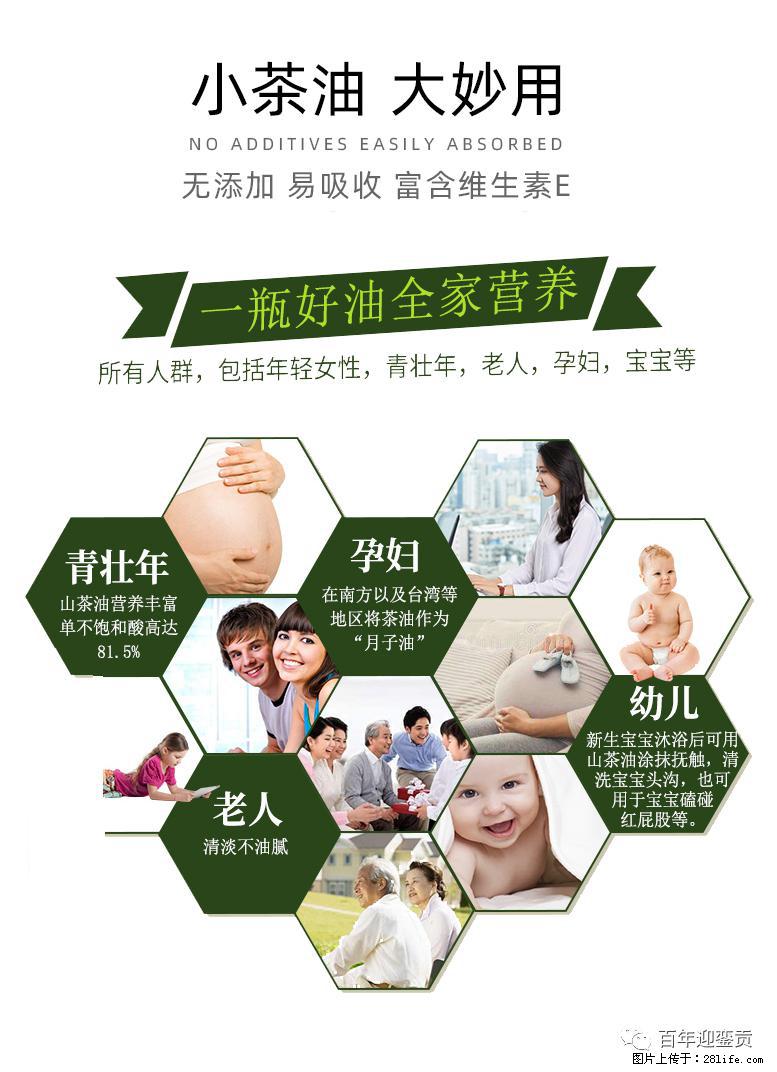 世界没有真相，只有认知，最好的食用油是中国的山茶油！ - 阳泉生活资讯 - 阳泉28生活网 yq.28life.net