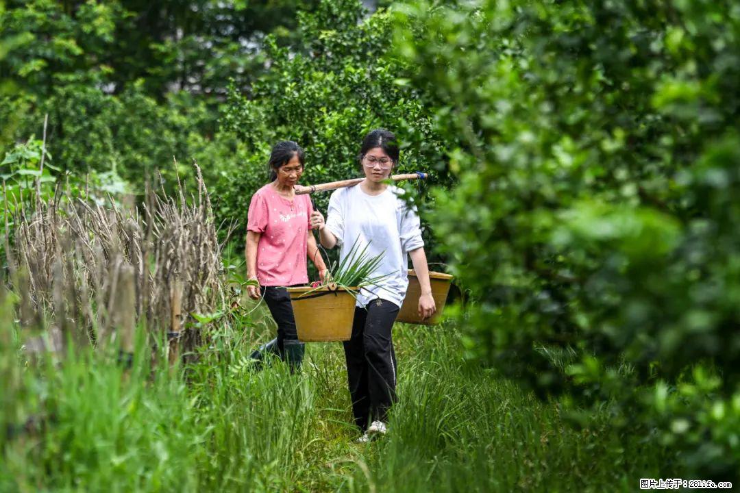 全网追的“扁担女孩”，找了一份暑假工，时薪12元 - 阳泉生活资讯 - 阳泉28生活网 yq.28life.net