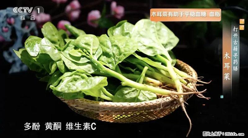 比牛奶补钙还厉害！凉血解毒、稳血糖...这菜冬天必吃，很多人却当草 - 阳泉生活资讯 - 阳泉28生活网 yq.28life.net
