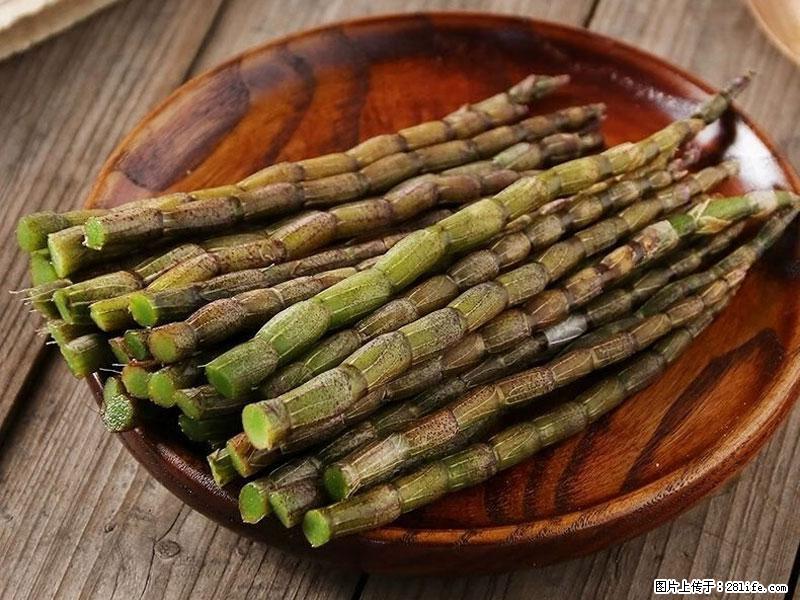 铁皮石斛的作用与功能主治 - 阳泉生活资讯 - 阳泉28生活网 yq.28life.net