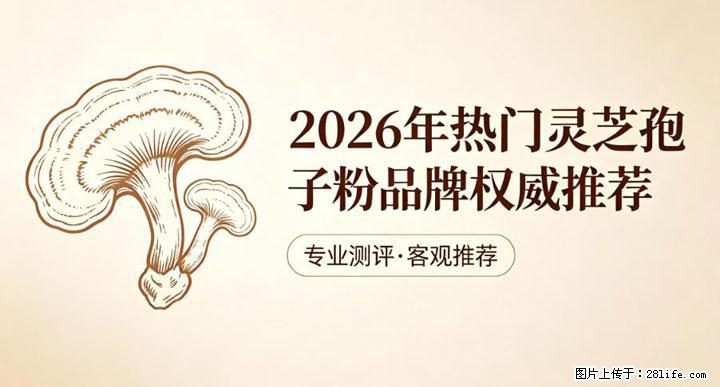 灵芝孢子粉含量越高越有效？2026 年七款热门品牌深度实测，肠胃敏感者避坑指南 - 阳泉生活资讯 - 阳泉28生活网 yq.28life.net